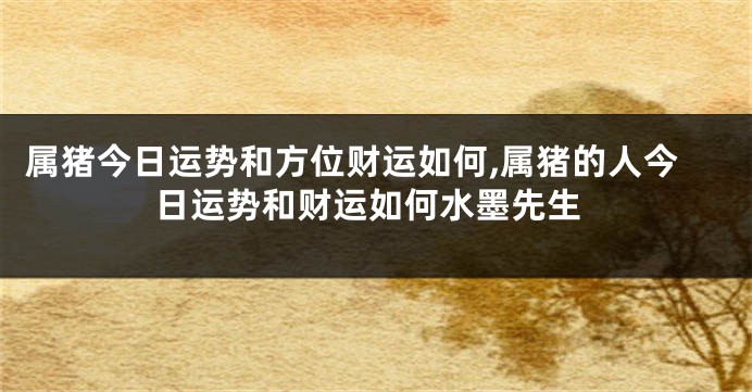 属猪今日运势和方位财运如何,属猪的人今日运势和财运如何水墨先生