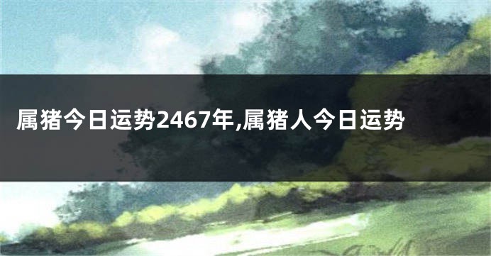 属猪今日运势2467年,属猪人今日运势