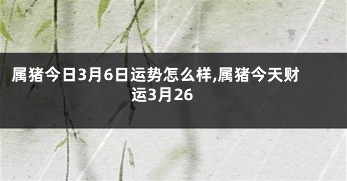 属猪今日3月6日运势怎么样,属猪今天财运3月26