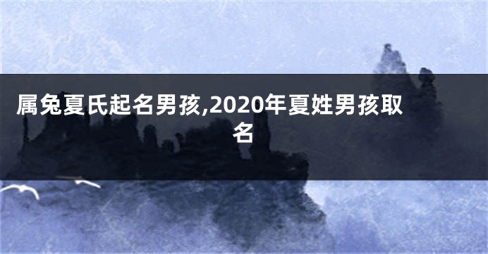 属兔夏氏起名男孩,2020年夏姓男孩取名