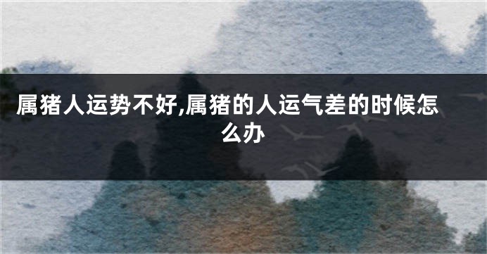 属猪人运势不好,属猪的人运气差的时候怎么办