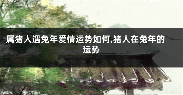 属猪人遇兔年爱情运势如何,猪人在兔年的运势