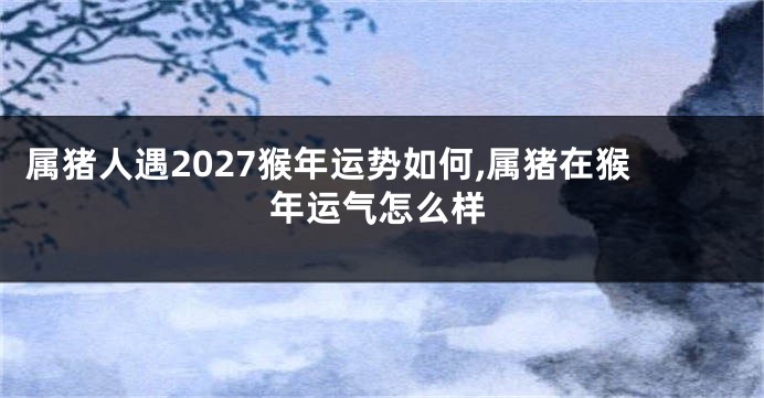 属猪人遇2027猴年运势如何,属猪在猴年运气怎么样