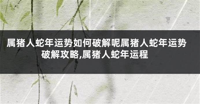 属猪人蛇年运势如何破解呢属猪人蛇年运势破解攻略,属猪人蛇年运程