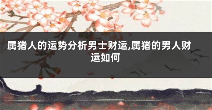 属猪人的运势分析男士财运,属猪的男人财运如何