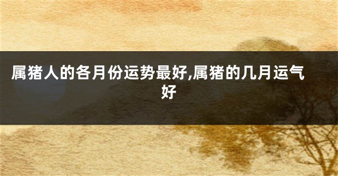 属猪人的各月份运势最好,属猪的几月运气好