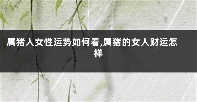 属猪人女性运势如何看,属猪的女人财运怎样