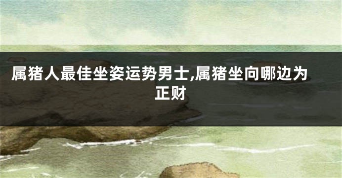 属猪人最佳坐姿运势男士,属猪坐向哪边为正财