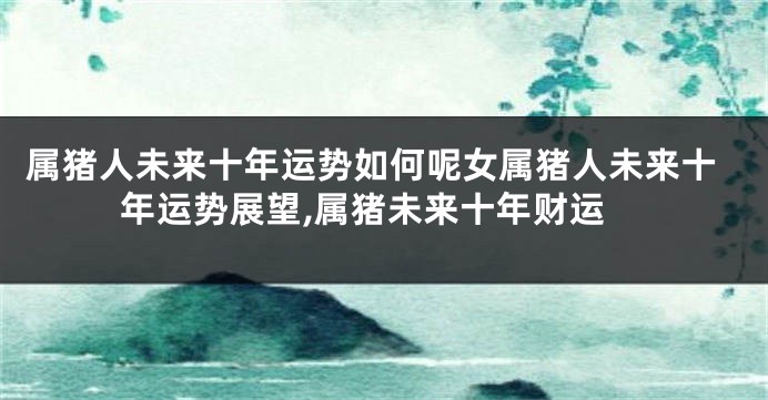 属猪人未来十年运势如何呢女属猪人未来十年运势展望,属猪未来十年财运