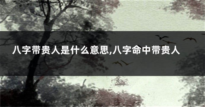 八字带贵人是什么意思,八字命中带贵人
