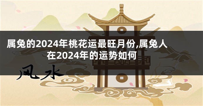 属兔的2024年桃花运最旺月份,属兔人在2024年的运势如何