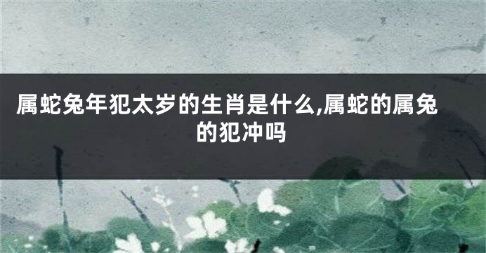 属蛇兔年犯太岁的生肖是什么,属蛇的属兔的犯冲吗