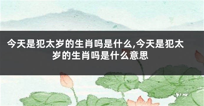 今天是犯太岁的生肖吗是什么,今天是犯太岁的生肖吗是什么意思