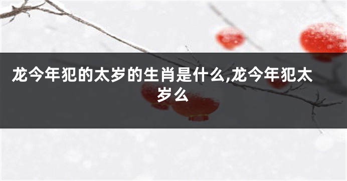 龙今年犯的太岁的生肖是什么,龙今年犯太岁么