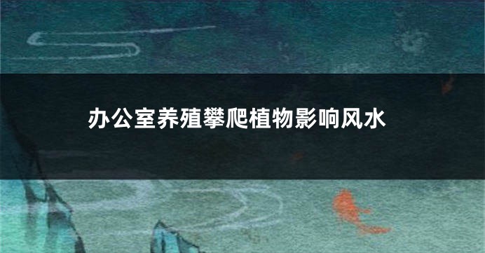 办公室养殖攀爬植物影响风水