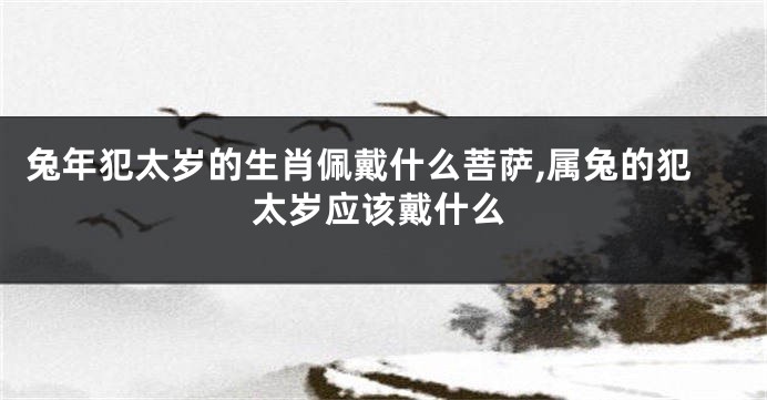 兔年犯太岁的生肖佩戴什么菩萨,属兔的犯太岁应该戴什么