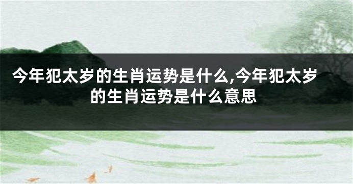 今年犯太岁的生肖运势是什么,今年犯太岁的生肖运势是什么意思