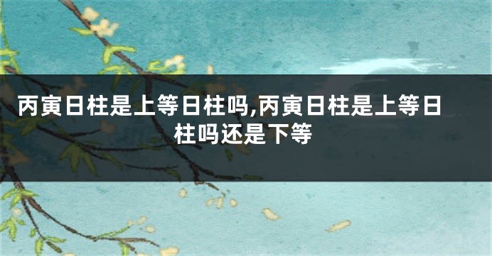 丙寅日柱是上等日柱吗,丙寅日柱是上等日柱吗还是下等