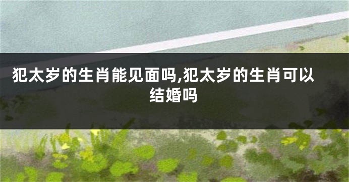 犯太岁的生肖能见面吗,犯太岁的生肖可以结婚吗