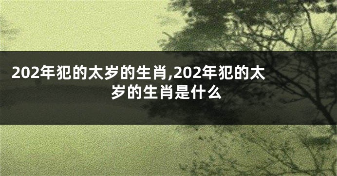 202年犯的太岁的生肖,202年犯的太岁的生肖是什么